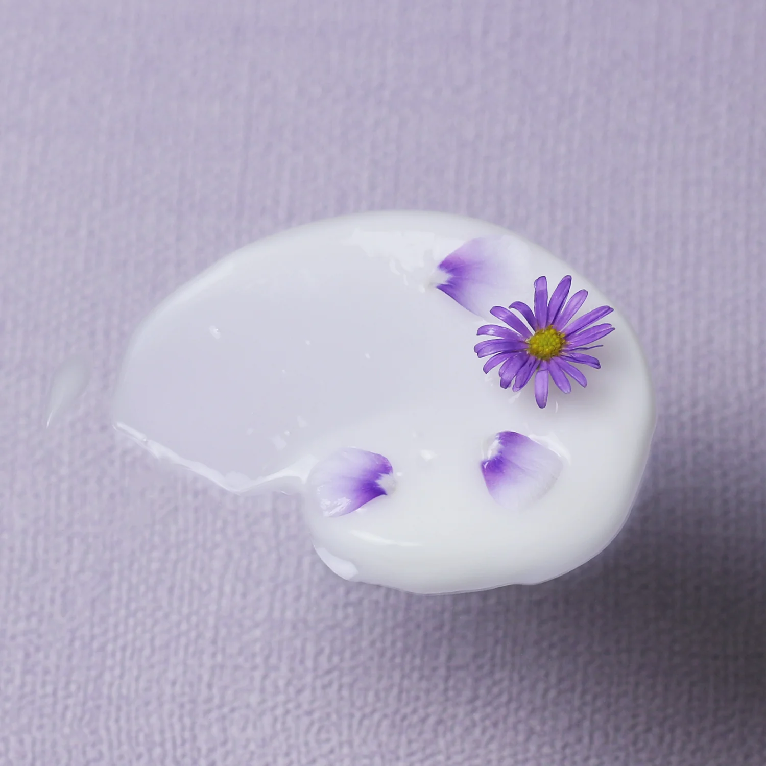 Bakuchiol Smoothing Serum - Image 6