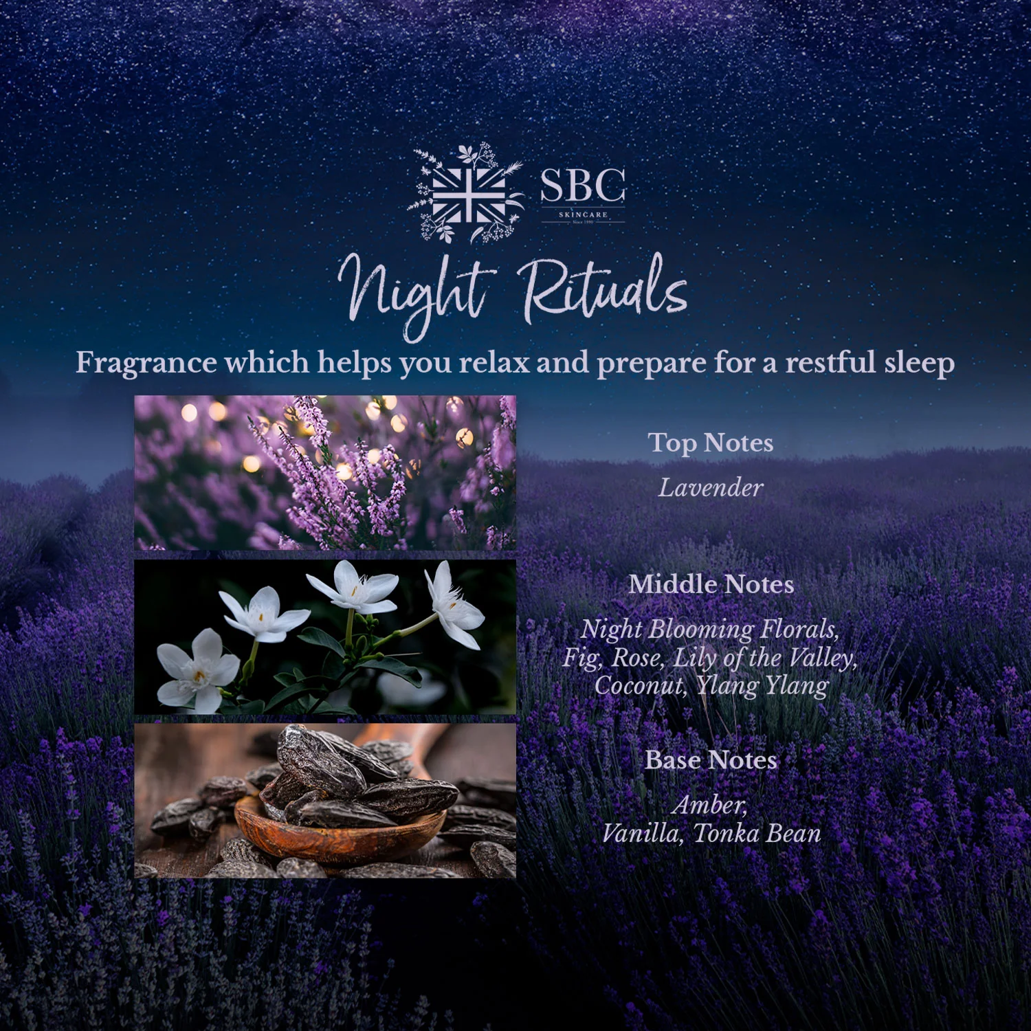 Night Rituals Sleep Soak - Image 3